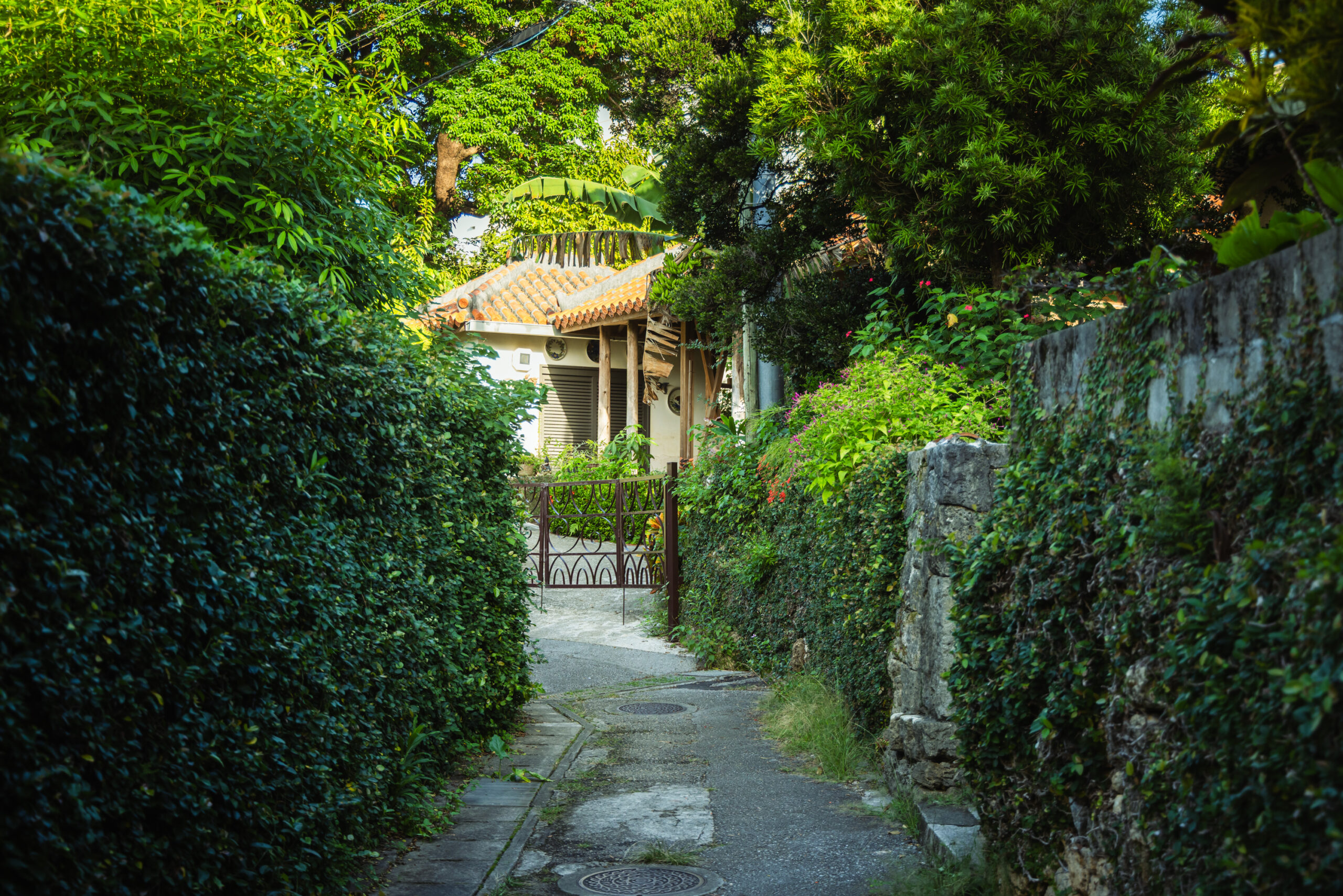 壺屋焼窯元育陶園